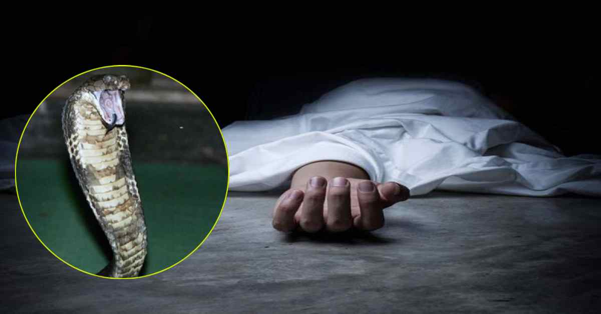सांप के काटने से महिला की मौत: चार बच्चों के सिर से उठा मां का साया, घर में पसरा मातम