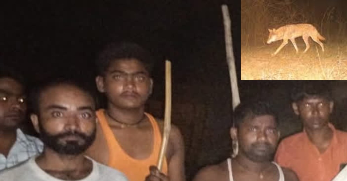 आदमखोर का आतंक : भेड़िए ने दो ग्रामीण पर किया हमला, घर के बाहर बंधी बकरी को भी बनाया निवाला, स्थानीय लोगों में दहशत का माहौल