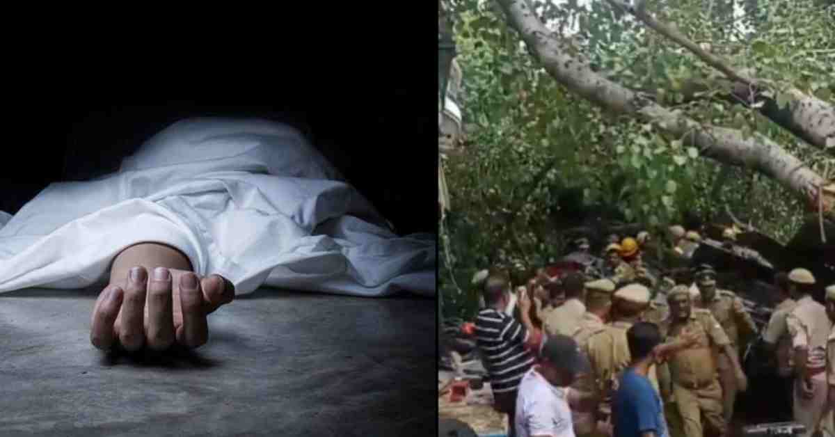 कैसरबाग में बड़ा हादसा: 100 साल पुराना पेड़ अचानक गिरा, एक की मौत 2 घायल