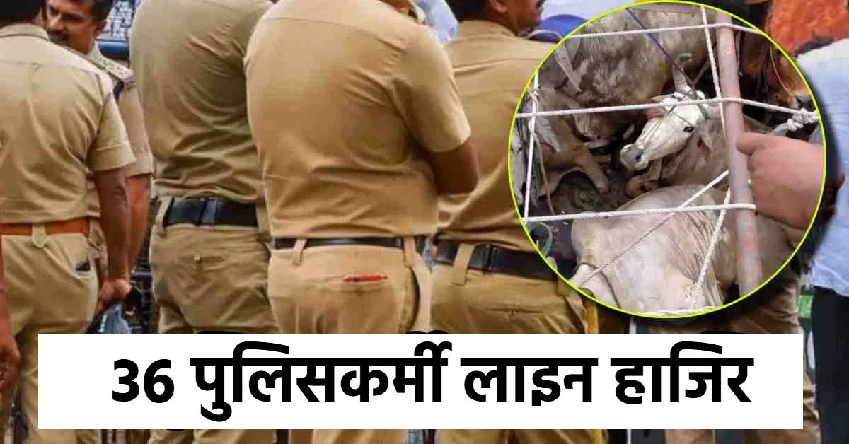 पशु तस्करी में खाकी की साठगांठ? गोरखपुर ADG ने 36 पुलिसकर्मियों को किया लाइन जाहिर, पुलिस महकमे में मचा हड़कंप