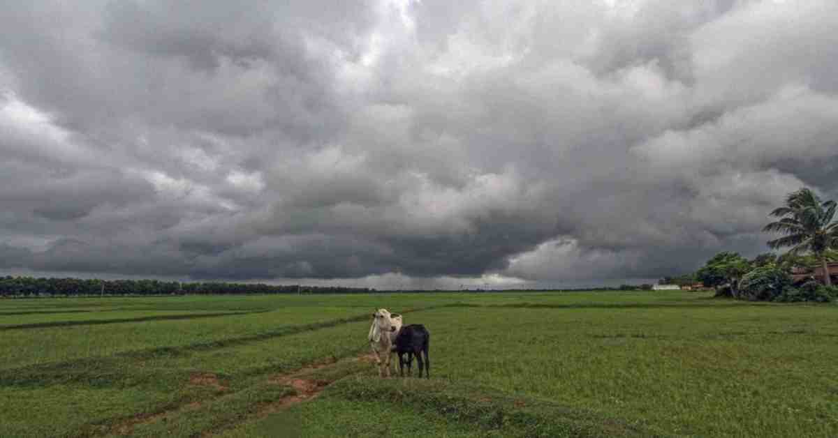 UP Weather Update: बारिश पर लगेगा ब्रेक, जल्द होगी मानसून की विदाई, जानें आज कैसा रहेगा मौसम