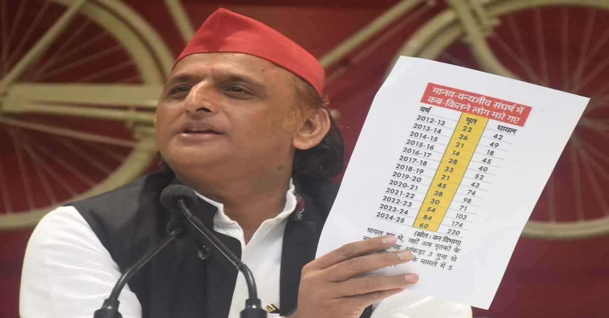 ‘प्रधानमंत्री मोदी से…’, जंगली-जानवरों और छुट्टा पशुओं को लेकर अखिलेश यादव का भाजपा पर हमला, मौत का आंकड़ा कर देगा हैरान