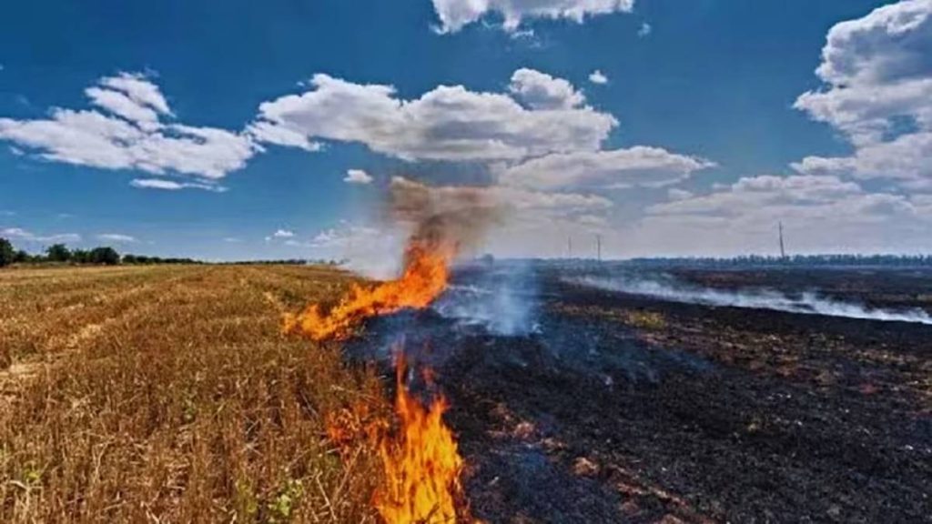 Punjab Parali Burning Case