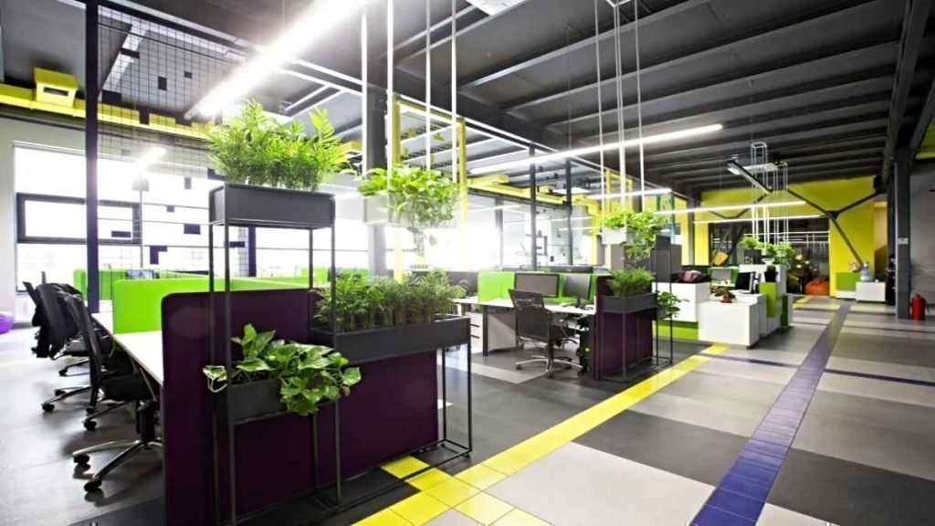 Vastu Plants for Positive Energy