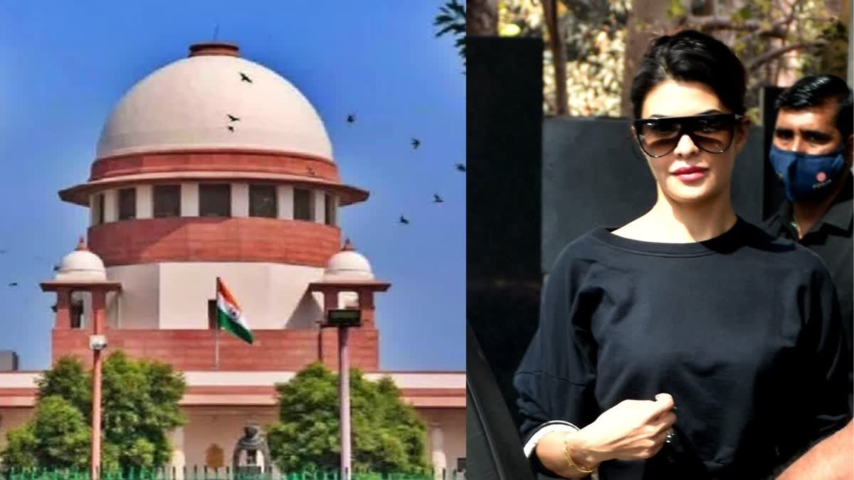 Jacqueline Fernandez की बढ़ी मुश्किलें, मनी लॉन्ड्रिंग से जुड़ी याचिका पर सुप्रीम कोर्ट ने सुनवाई से किया इंकार …