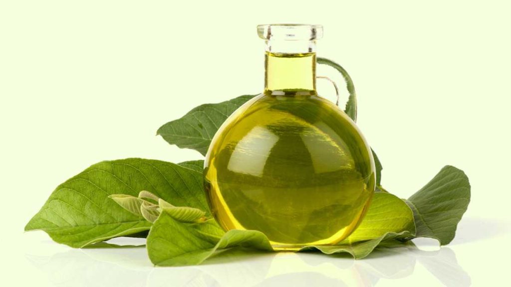 Guava Leaves Mouthwash Benefits