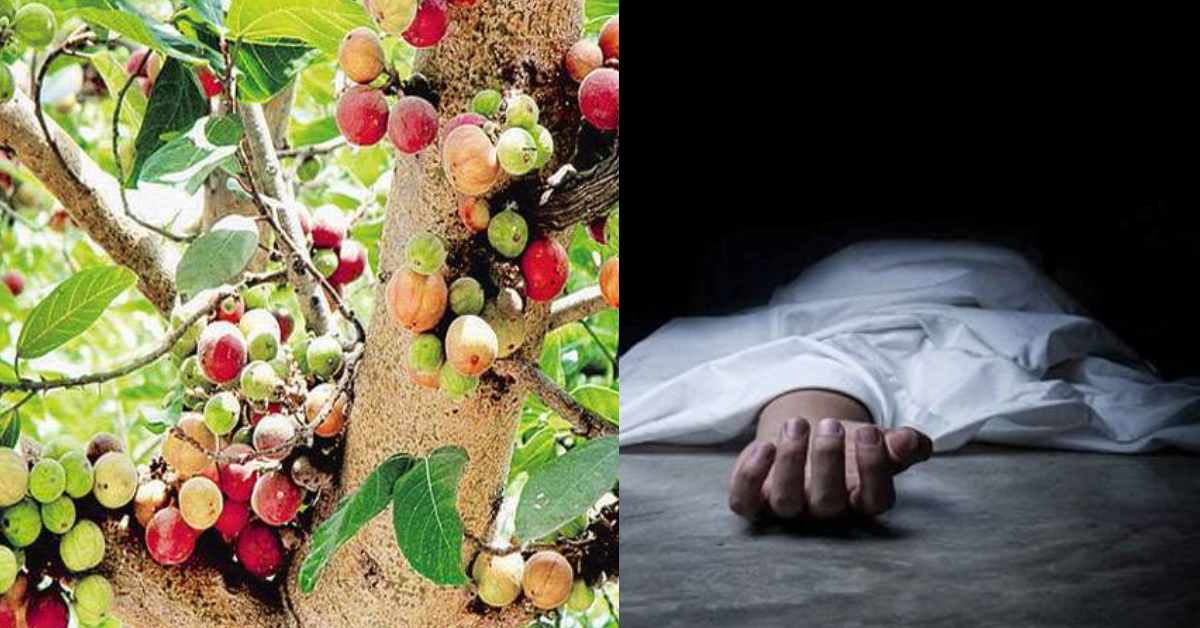 थम गई मासूम की सांसें! अचानक गिरा गूलर का पेड़, 2 बच्चे दबे, एक की मौत दूसरा…