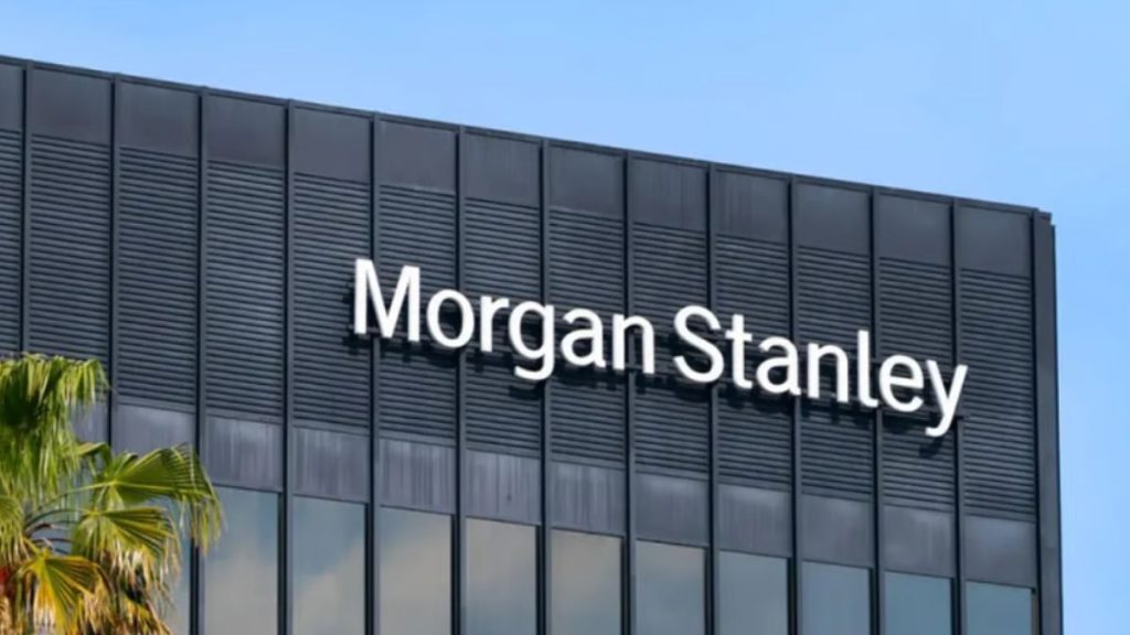 Morgan Stanley Investment in Indian Companies