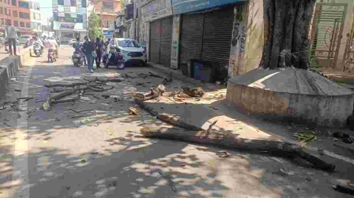 आसमान से टपकी मौतः घटना देख लोगों की रूह कांप उठी, मोपेड सवार पिता-पुत्र के ऊपर गिरा पेड़