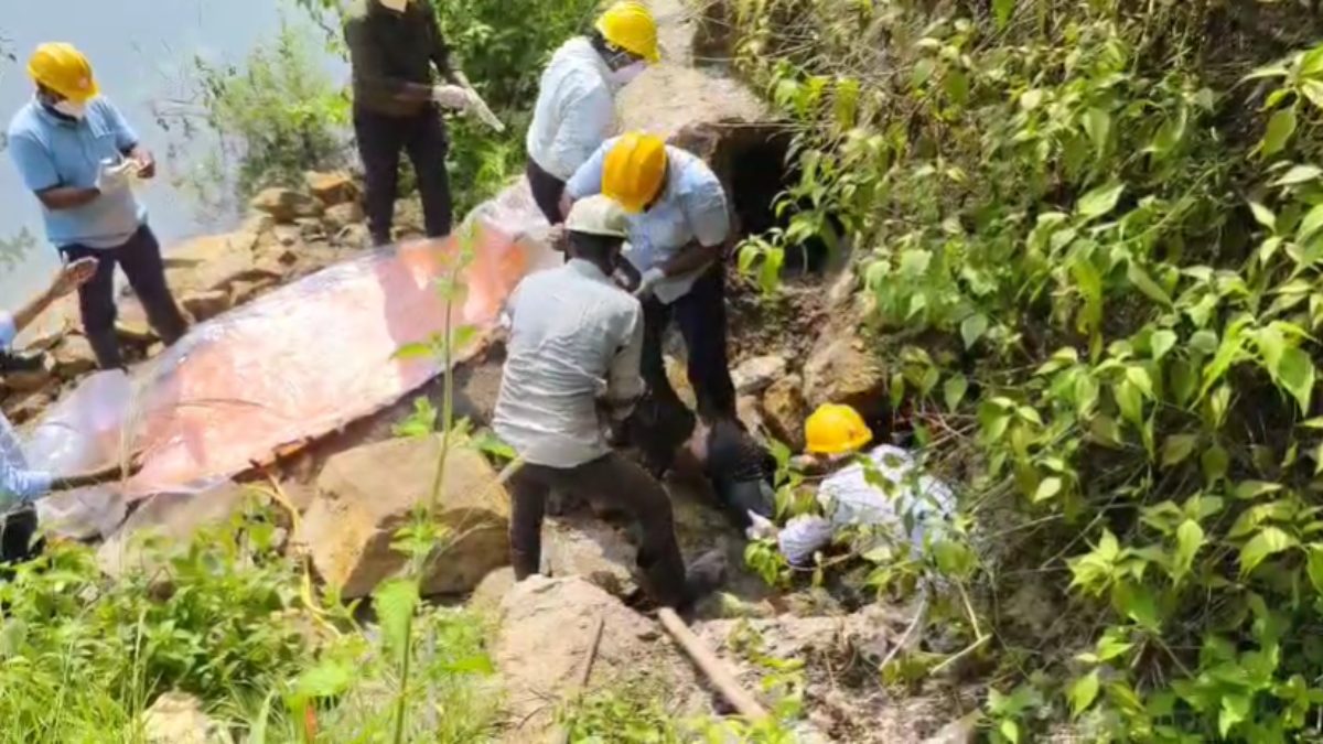 बंद कोयला खदान में बड़ा हादसा : अवैध उत्खनन के दौरान सुरंग धंसने से युवक की मौत, करीब 24 घंटे चले रेस्क्यू के बाद शव बरामद