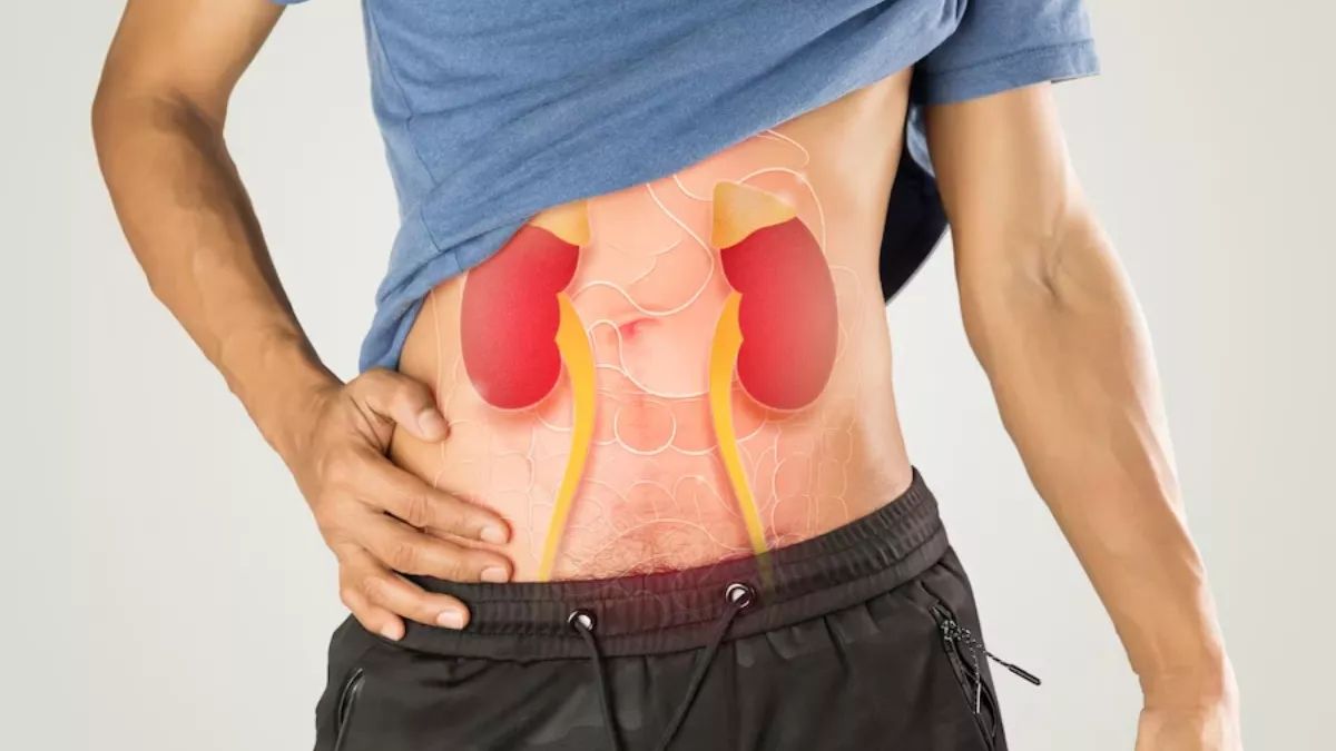 Kidney Health Tips: किडनी को नुकसान पहुंचा सकती हैं ये आम गलत आदतें