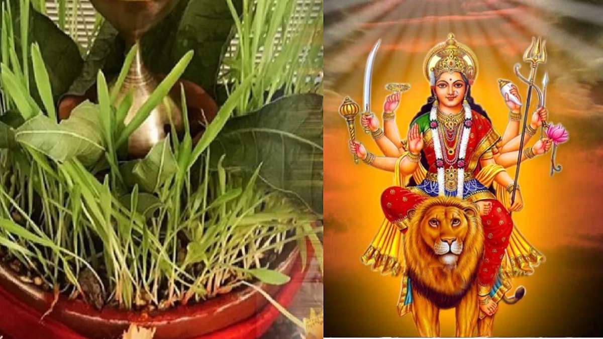 आखिर क्यों नवरात्रि में बोए जाते हैं जवारे, सुख, समृद्धि और सौभाग्य का है प्रतीक