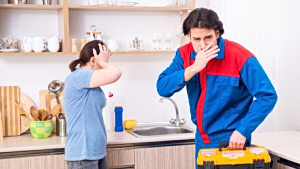 Remove Bad Smell from Kitchen Sink