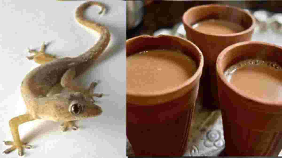 चाय की चुस्की पड़ी महंगीः छिपकली गिरी चाय पीने से परिवार के चार लोग बीमार, सभी अस्पताल में भर्ती