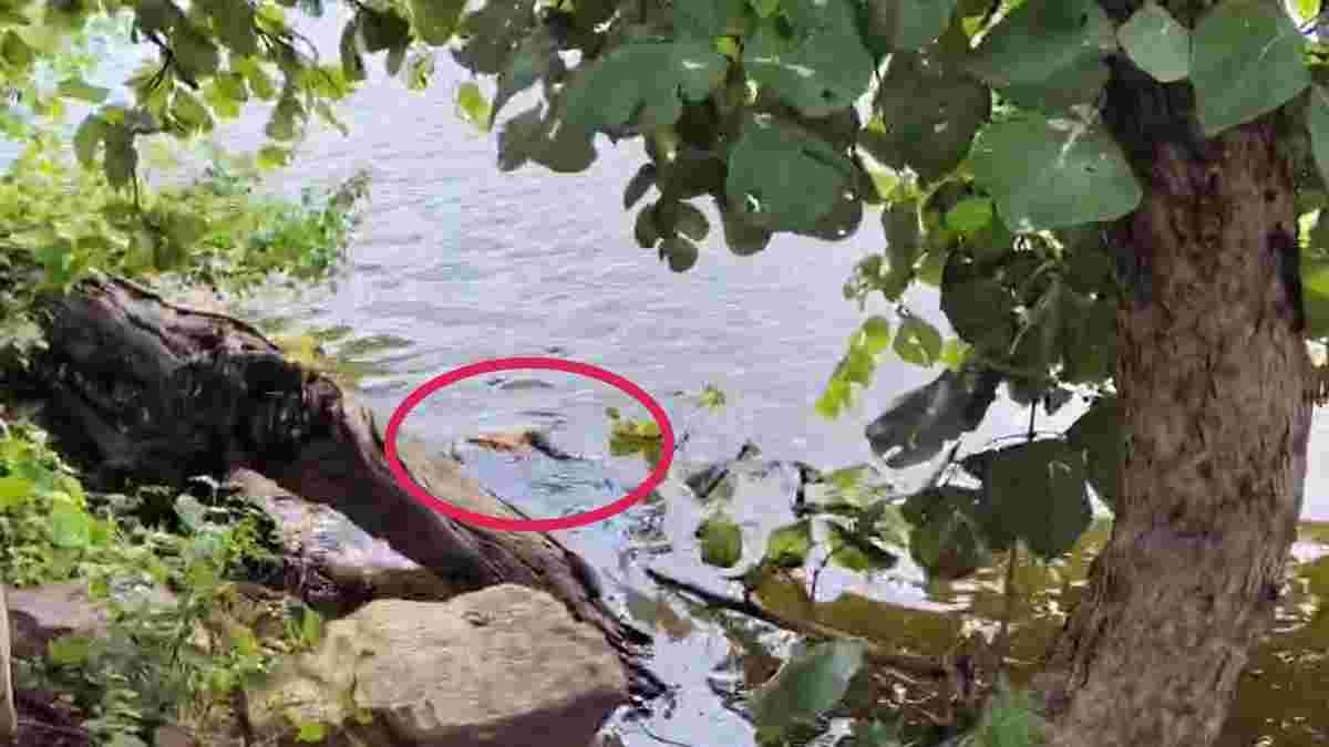 मां मेरा क्या कसूरः जिगर के टुकड़े को तालाब में फेंक मां ने लगा ली फांसी, दोनों की मौत