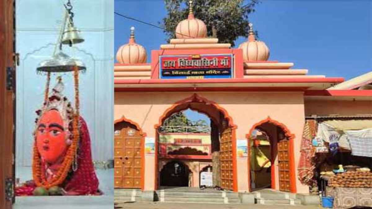 छत्तीसगढ़ में बिलाई माता का अनोखा मंदिर : जंगलों के बीच धरती से निकली है मां विंध्यवासिनी, मूर्ति 500 साल पुरानी, बिल्लियों से जुड़ी है कहानी