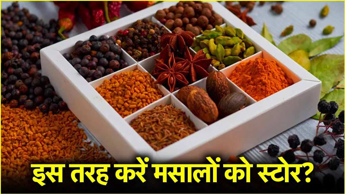 खड़े मसाले को इस तरह से करें स्टोर, लंबे समय तक खुशबू और स्वाद बरकरार