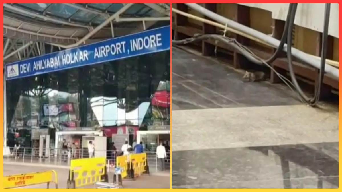 Indore Airport: फ्लाइट का इंतजार कर रहा था शख्स, अचानक पैंट में घुसकर चूहे ने काटा, मचा बवाल
