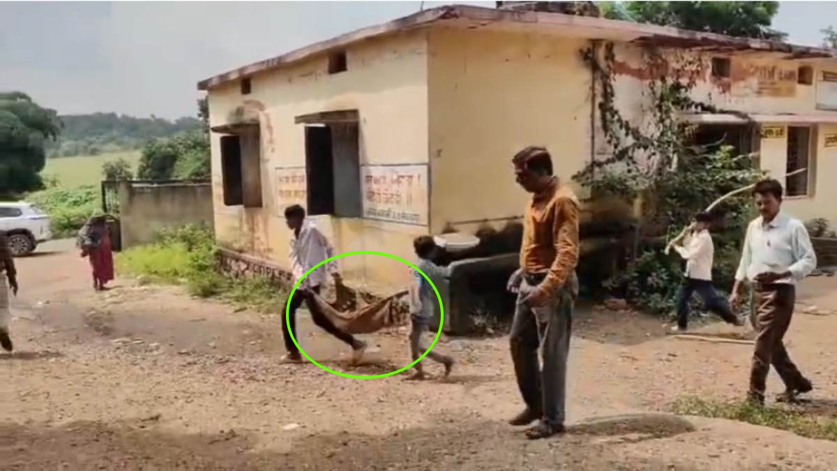शिक्षकों की शर्मनाक करतूत: झाबुआ में छात्रों को बिल्ली की लाश उठाने किया मजबूर, खड़े होकर देते रहे आदेश 