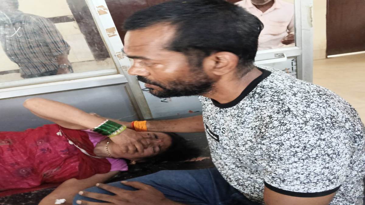 कुलदेवी की पूजा करने के दौरान भड़की मधुमक्खियां, परिवार पर किया हमला, 8 लोग घायल, झांसी रेफर