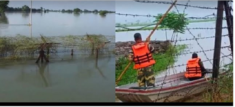 Punjab Flood : रावी नदी ने बहा दी भारत-पाक सीमा पर लगी 30 किलोमीटर लोहे की फेंसिंग