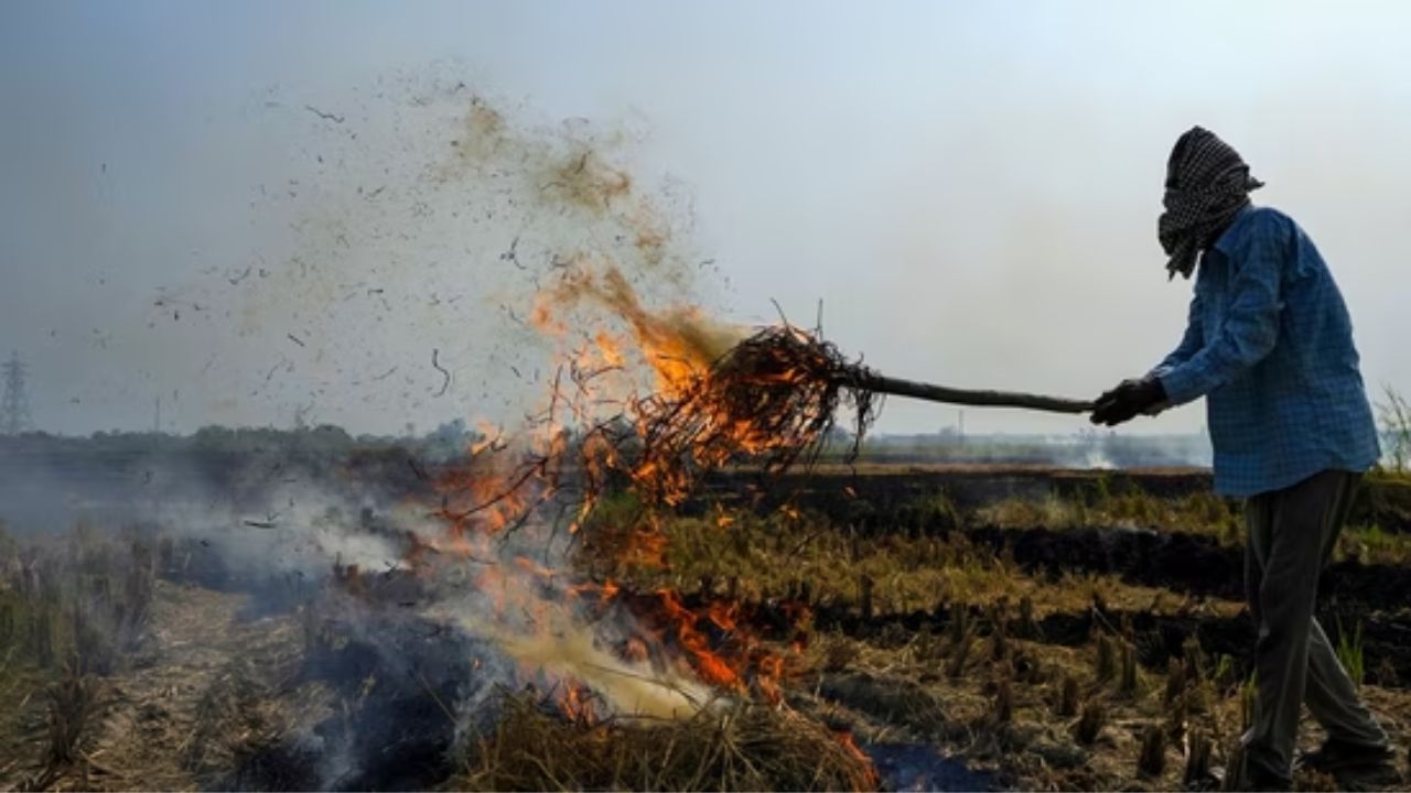 पंजाब में पराली जलाने का सिलसिला जारी, अमृतसर में सबसे ज्यादा 38 मामले, 14 FIR दर्ज