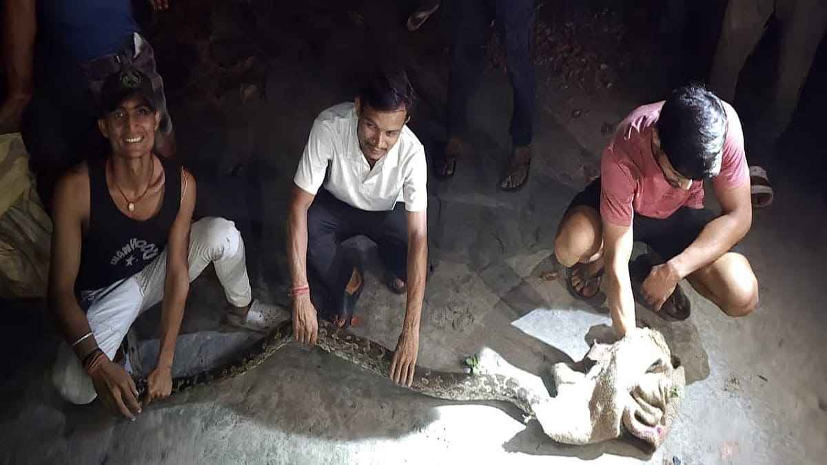 मोतिहारी में 15 फीट लंबा अजगर मिलने से मची सनसनी, वन विभाग ने पकड़कर जंगल में छोड़ा