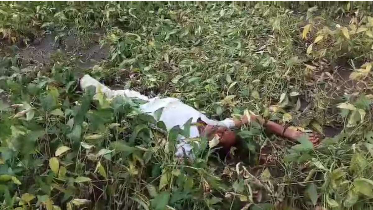 ‘बच्चों को कैसे पालूंगा … कर्ज कैसे पटाउंगा’, बर्बाद फसल देख टूट गया किसान, खेत में लोटपोट होकर फूट-फूट कर रोया, इमोशनल कर देगा Video