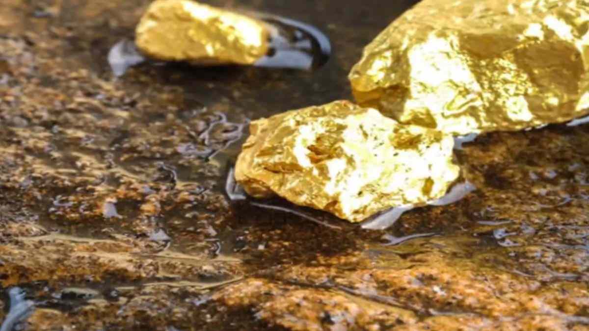 सिंगरौली में मिली सोने की खान: धरती से निकलेगा 1,83,56,000 KG गोल्ड, अडानी ग्रुप को 5 साल के लिए मिला ठेका