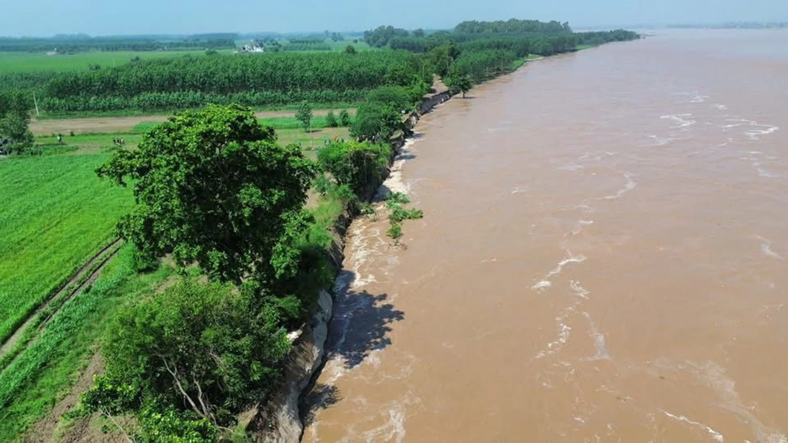 लुधियाना के ससराली गांव में सतलुज का कहर, 300 एकड़ फसल बर्बाद, सेना ने संभाला मोर्चा