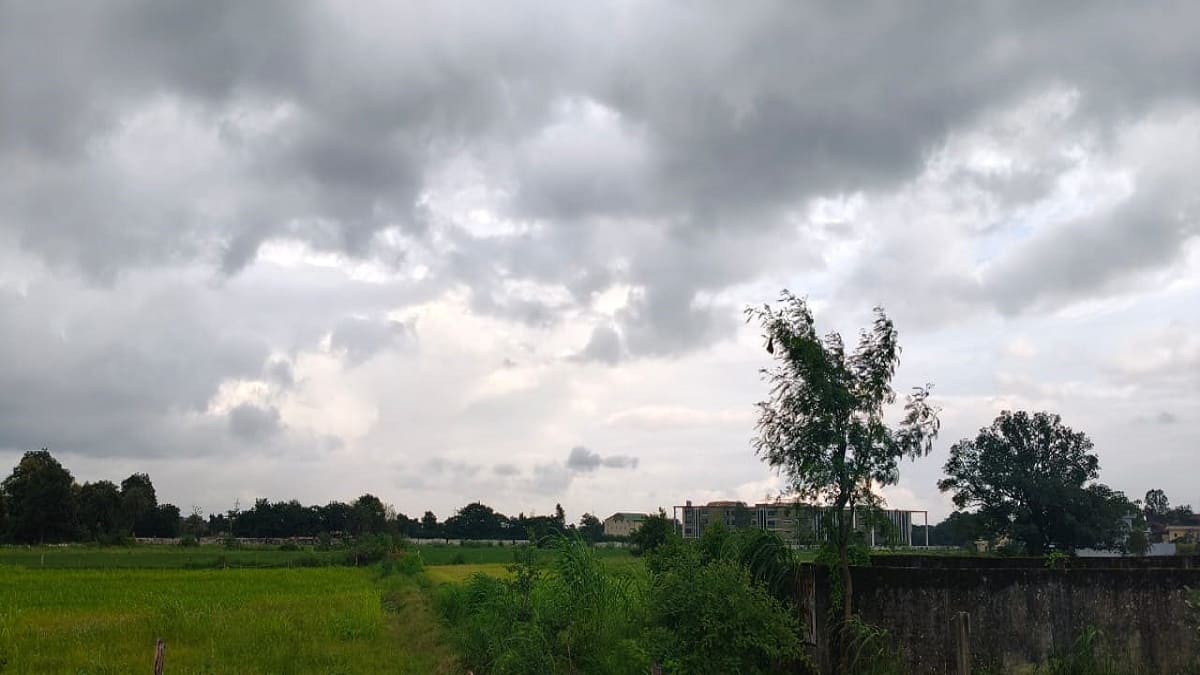 बिहार के 7 जिलों में बारिश का यलो अलर्ट, 2 अक्टूबर से फिर एक्टिव होगा मानसून