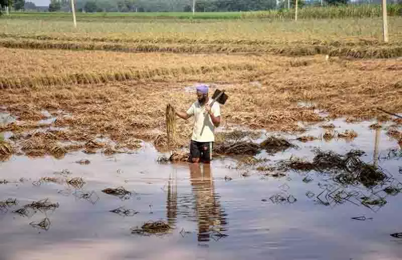 पंजाब में बाढ़ से हुए नुकसान का नया आकलन : केंद्र को भेजा जाएगा मेमोरेंडम, मुख्य सचिव करेंगे बैठक