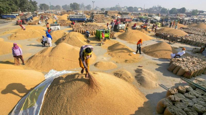 किसानों के लिए मंडी बोर्ड ने बनाया कंट्रोल रूम, समस्या का होगा समाधान