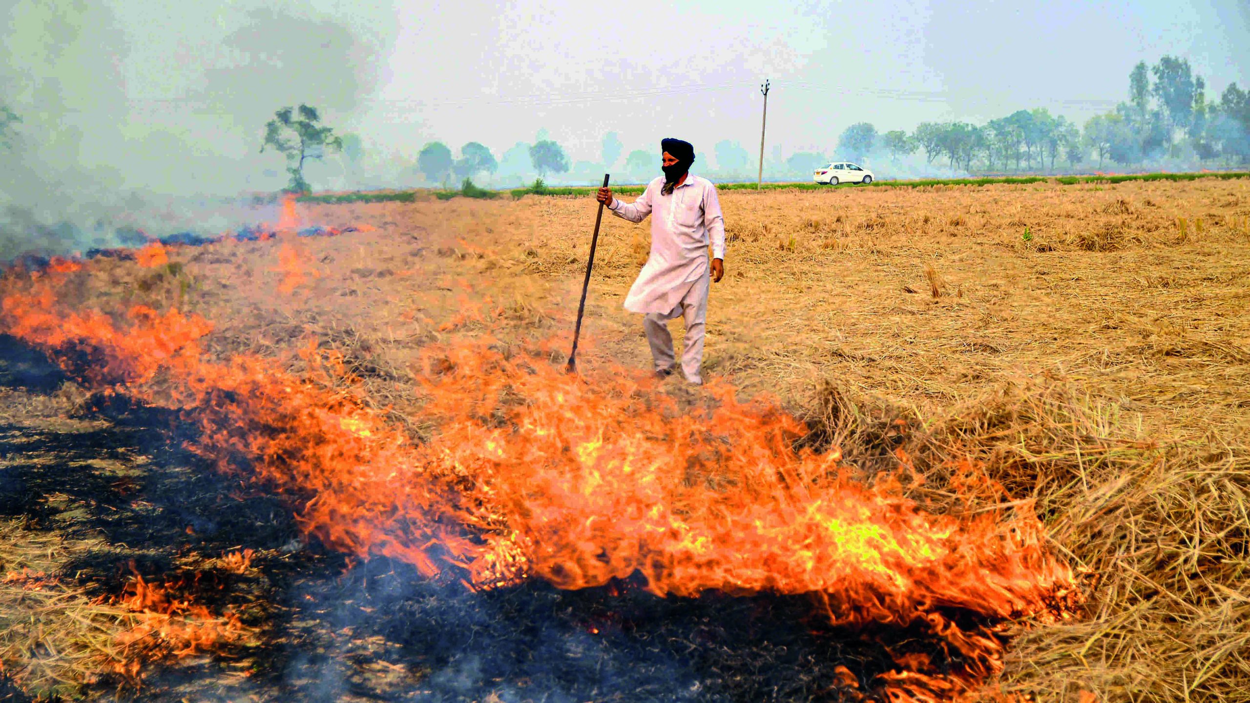23 से 29 सितंबर तक पराली जलाने के करीब 150 मामले सामने, पंजाब के किसान ज्यादा पराली जला रहे : पंजाब यूनिवर्सिटी