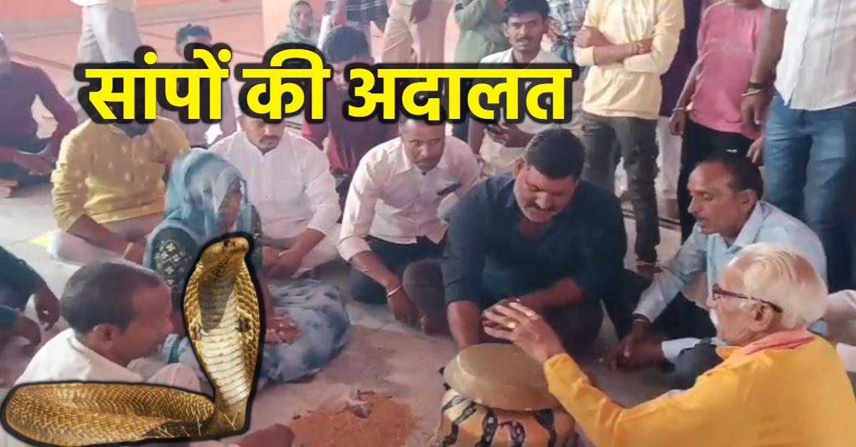 यह लगती हैं सांपों की अदालत: दीपावली के दूसरे दिन उमड़ती है भीड़, सर्प दंश से पीड़ित बताते है काटने का कारण