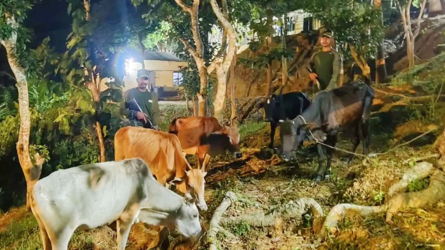 त्रिपुरा में 3 बांग्लादेशी नागरिकों की मौत, बांग्लादेश बोला- भारत निष्पक्ष जांच करें; MEA बोला – बॉर्डर पर बाड़ लगाने में मदद करो