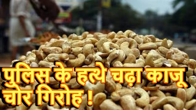 दिल्ली : 60 बाल्टियों में 600 KG काजू रखकर फरार हुए चोर ! 4 आरोपी गिरफ्तार, अपना आदमी ही निकला मुख्य साजिशकर्ता