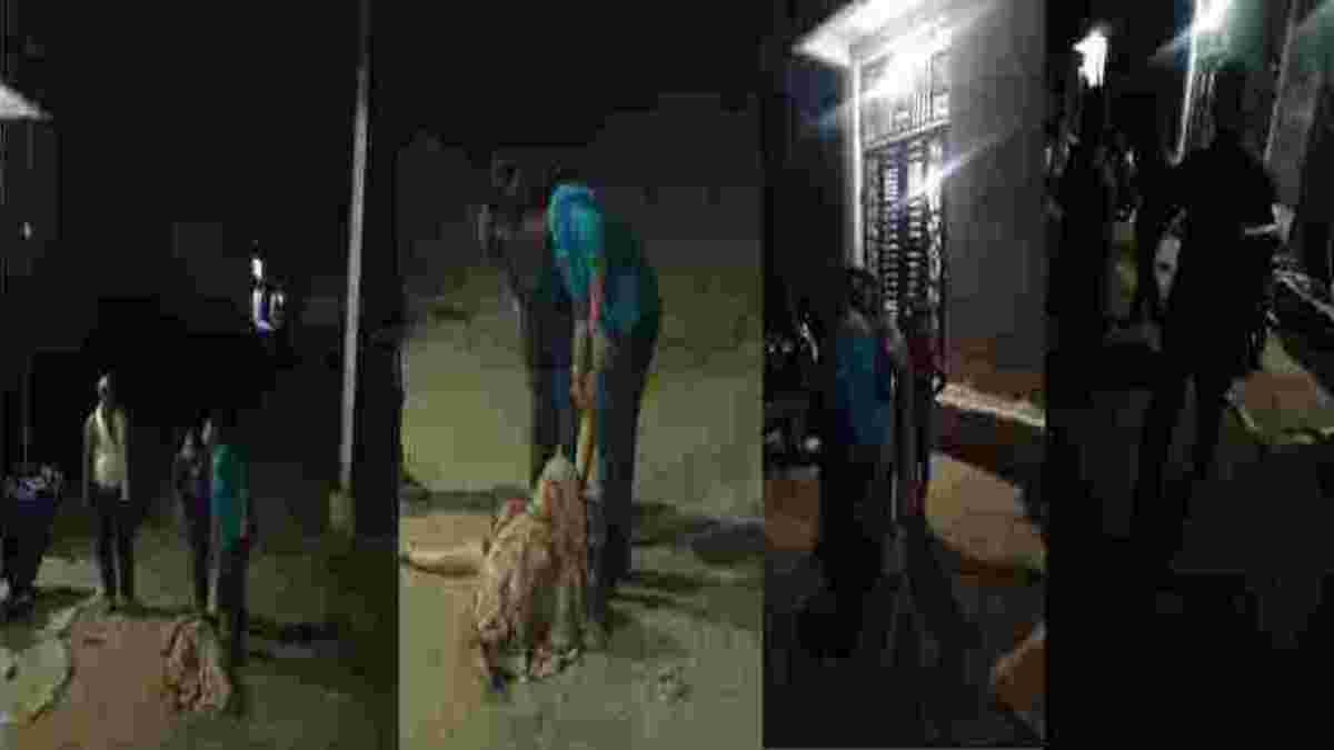 भाजपा नेत्री से दबंगों ने की मारपीट: बाल पकड़कर खसीटा, आरोप- गुर्जर परिवार ब्राह्मणों को मंदिर जाने से रोकता है, 3 दिन पहले एक अन्य ब्राह्मण को पीटा था