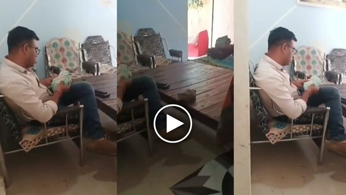वर्दीधारी की रंगदारी : पुलिस का खौफ दिखाकर लाखों की वसूली, नोटों की गड्डी गिनते आरक्षक कैमरे में कैद, वीडियो वायरल …