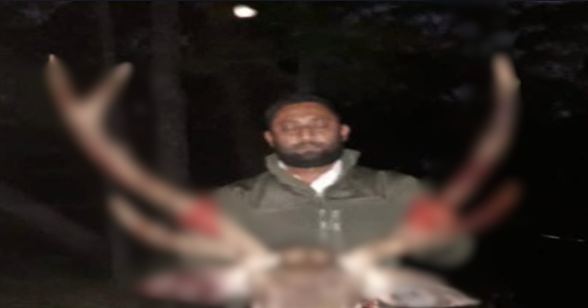 वन्य प्राणी तस्करी मामले में मुख्य शिकारी गिरफ्तार: 3 अब भी फरार, सांभर की गर्दन काटकर खिंचवाई थी तस्‍वीर