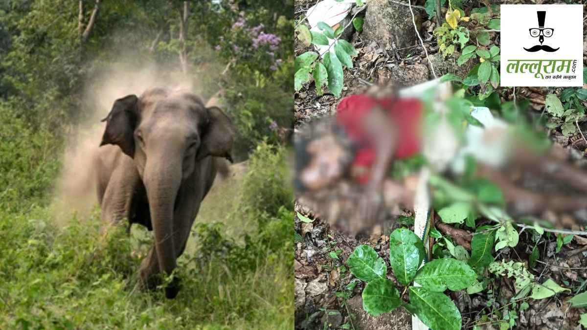 हाथी ने चरवाहों पर किया हमला : 1 की मौत, दूसरे ने भागकर बचाई जान