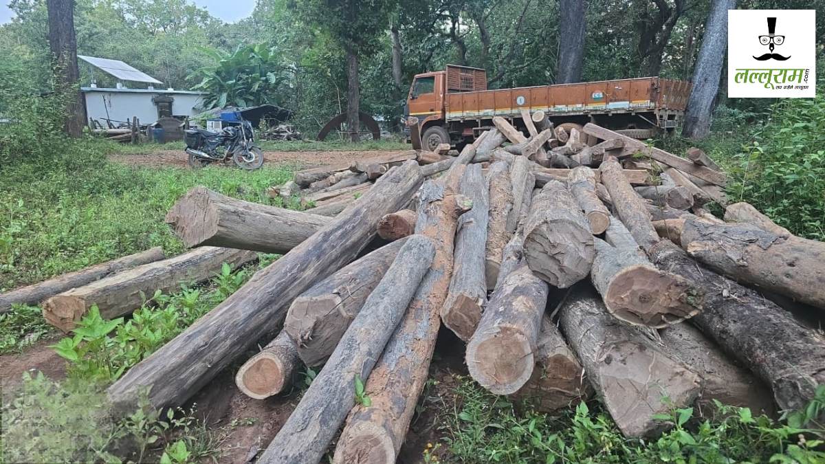 CG News : वन विभाग की बड़ी कार्रवाई, छापा मारकर सागौन लकड़ी का अवैध डंप पकड़ा