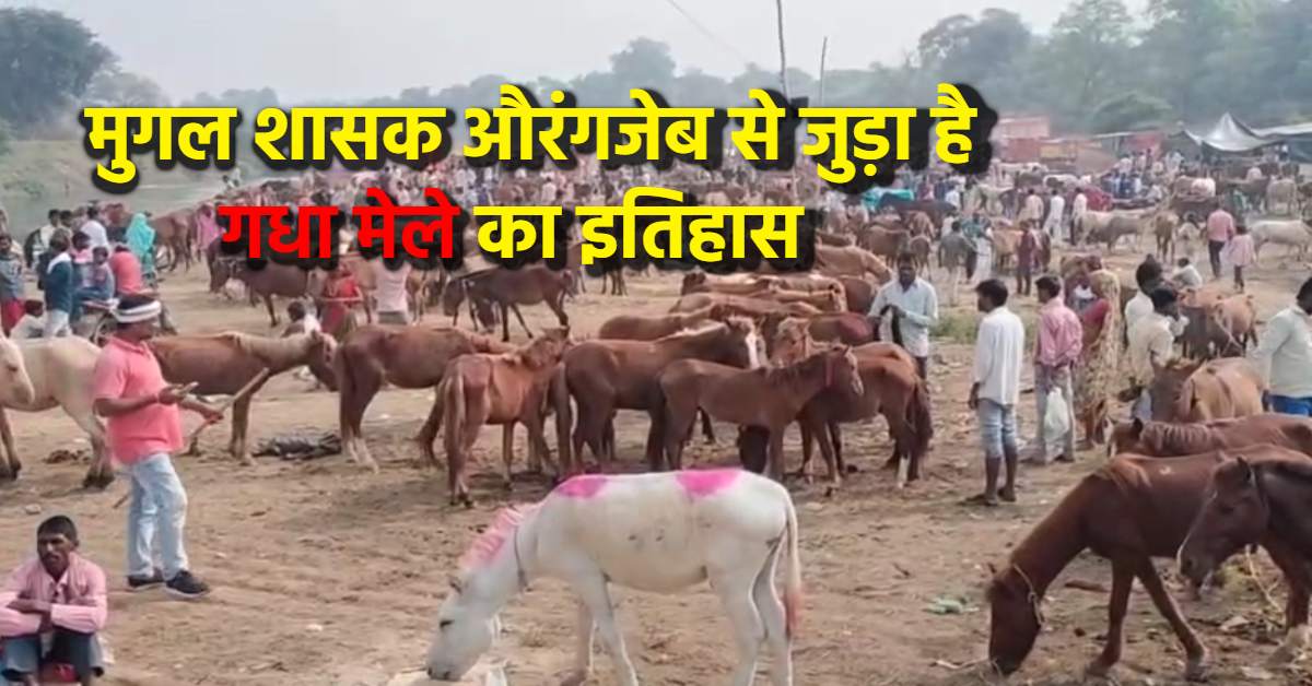 दीपावली के दूसरे दिन से लगता है ऐतिहासिक गधों का मेला: शाहरुख-सलमान और माधुरी-कैटरीना के नाम से बिकते हैं गधे-खच्चर, इस बार लारेंस बिश्नोई भी आया, सबसे महंगा ये