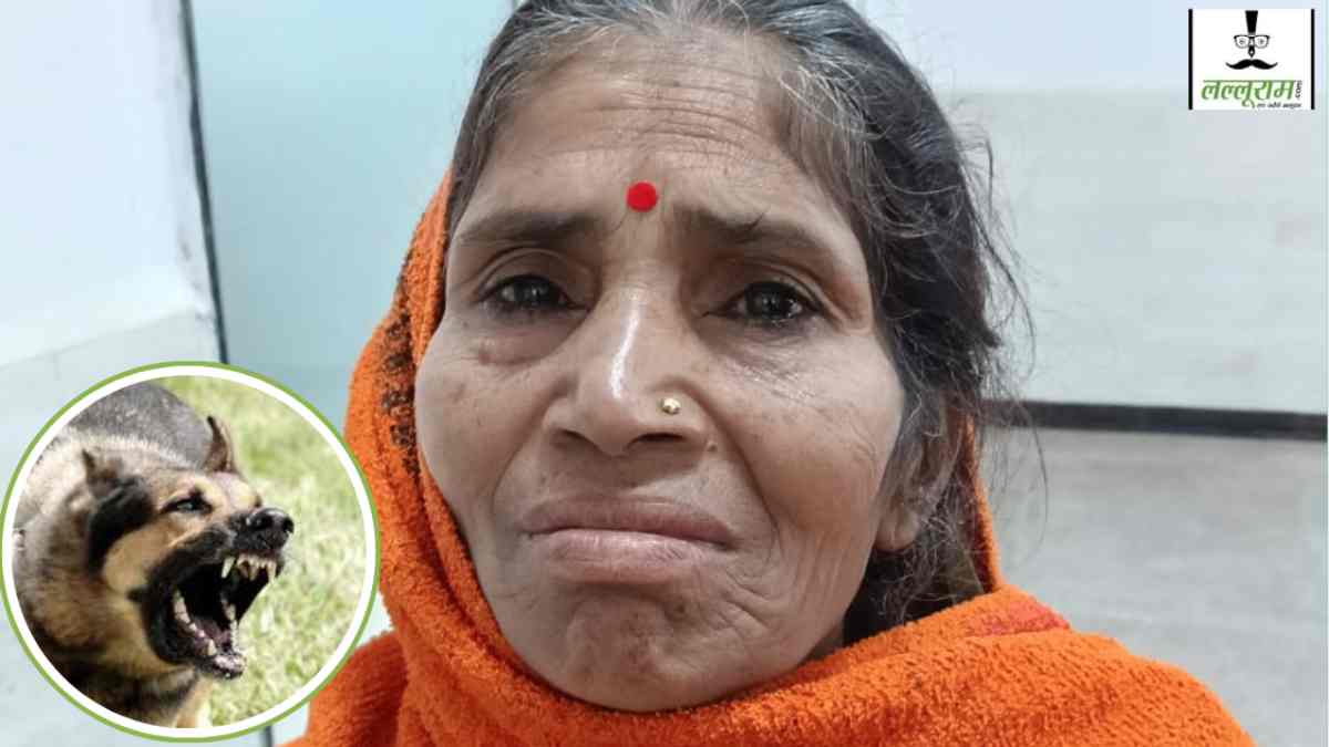आवारा कुत्ते का कहर: सुबह मंदिर जाते वक्त 55 वर्षीय महिला का पैर नोचा, जयारोग्य अस्पताल में डॉक्टरों ने की सर्जरी