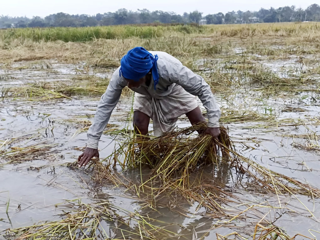फरीदकोट : बाढ़ प्रभावित किसानों को गेहूं की बुआई के लिए 1.5 करोड़ रुपये की सहायता