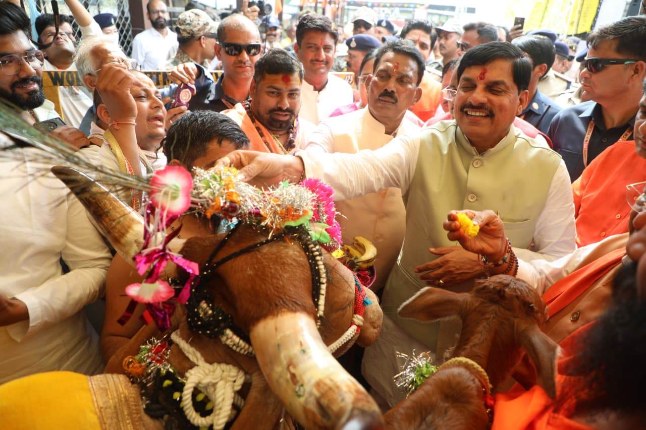 Govardhan Puja: CM डॉ. मोहन ने नगर निगम की गौशाला में की गोवर्धन पूजा, कहा- गोमाता को सुरक्षित रखने की जिम्मेदारी हमारी