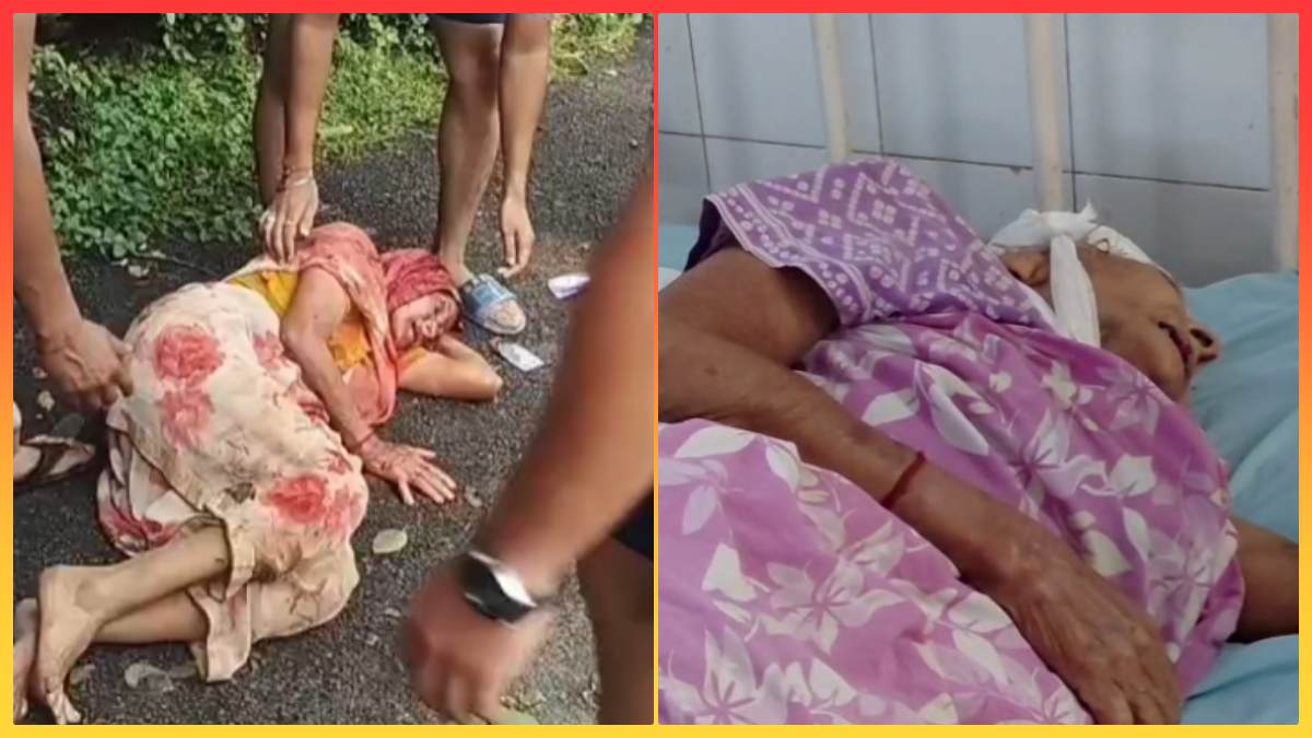 EOW हेड कॉन्स्टेबल की मां से लूट: बदमाशों ने पत्थर से किया हमला, हाथ से सोने की चूड़ी छीनकर भागे
