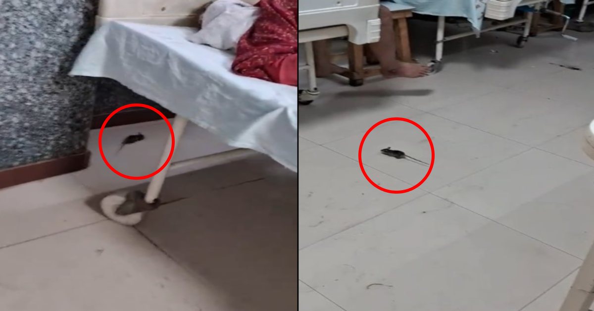 दिल के अस्पताल में चूहों का बिल! अंचल के सबसे बड़े हॉस्पिटल के ICU में दिखा Rat, कांग्रेस ने की ‘चूहा मुक्त अस्पताल’ की मांग