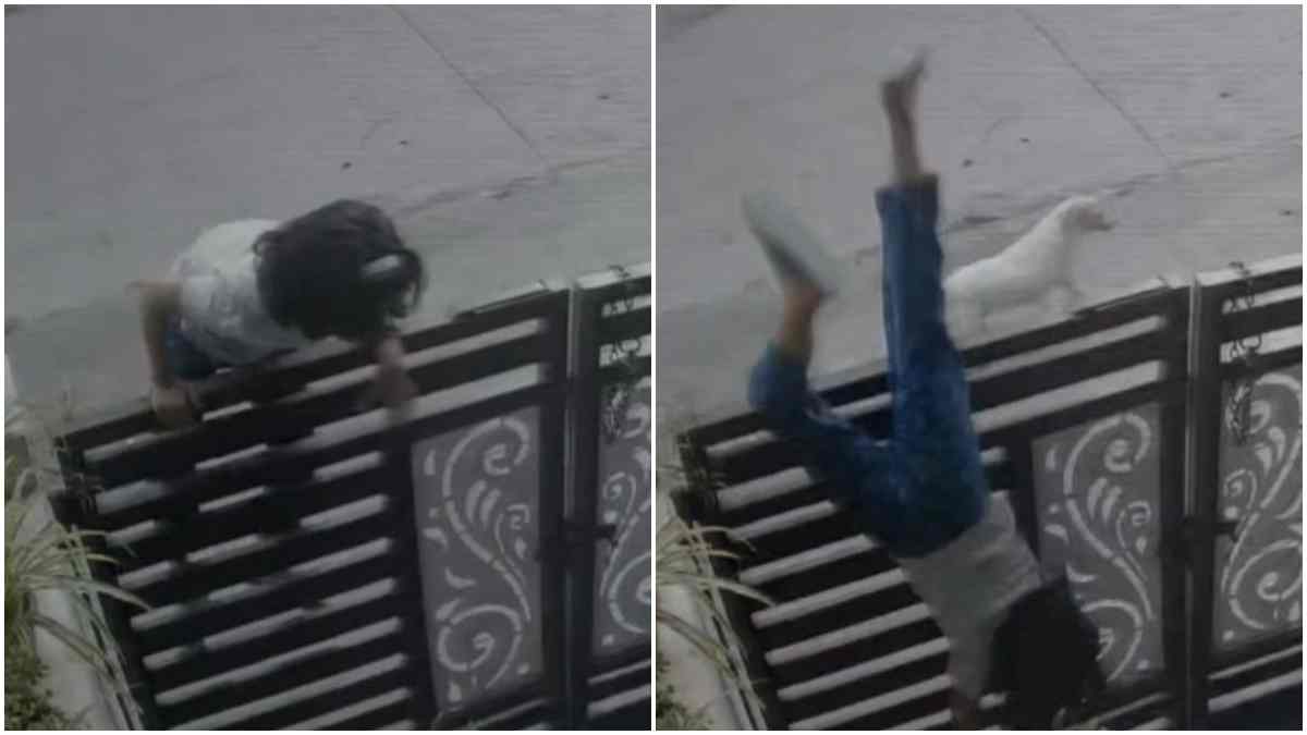 कुत्ते के हमले से घबराई बच्ची गेट से कूदते समय गिरी, CCTV में कैद हुई घटना