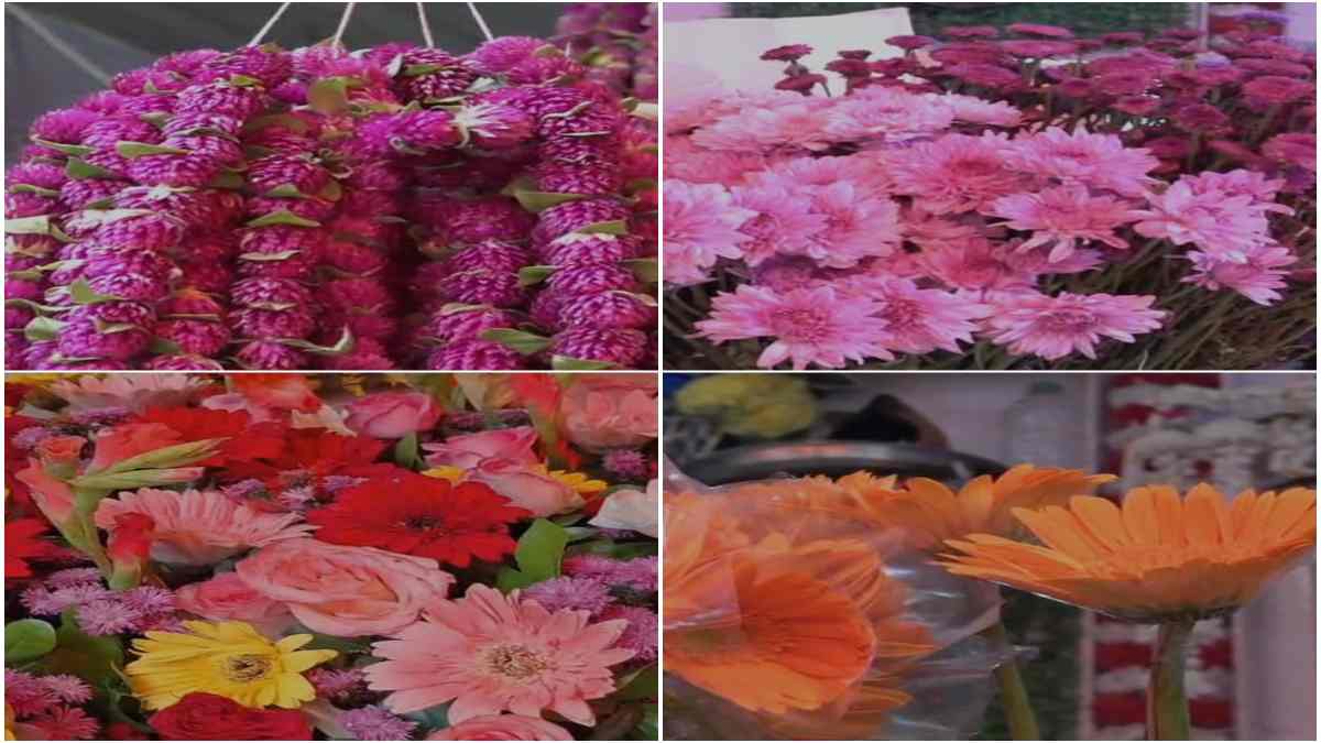 Diwali Special: बेंगलुरु के फूलों से महकेगी संस्कारधानी, जबलपुर में बेंगलुरु, पुणे, नागपुर और हावड़ा के फूलों से होगा महालक्ष्मी का वेलकम